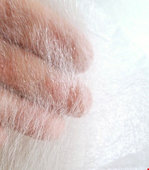 زانفیکس متری اعلای سفید